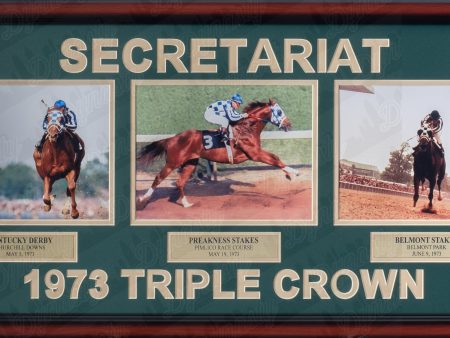 Ron Turcotte & Secretariat 1973 Triple Crown Winner Framed and Matted Horse Racing Collage Sale