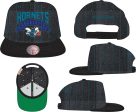 Charlotte Hornets Mitchell & Ness Dem Stripes Snapback Hat For Discount