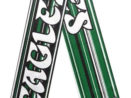 Philadelphia Eagles Throwback Hyper Stripe Big Logo Scarf Hot on Sale