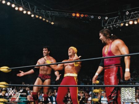 Scott Hall, Hulk Hogan, & Kevin Nash Form the nWo 8  x 10  WWE Wrestling Photo Online now