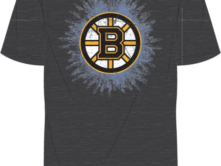 Boston Bruins Mitchell & Ness Iced Up T-Shirt on Sale