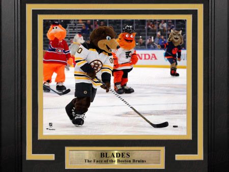 Blades Skating on the Ice Boston Bruins 8  x 10  Framed Mascot Photo Sale