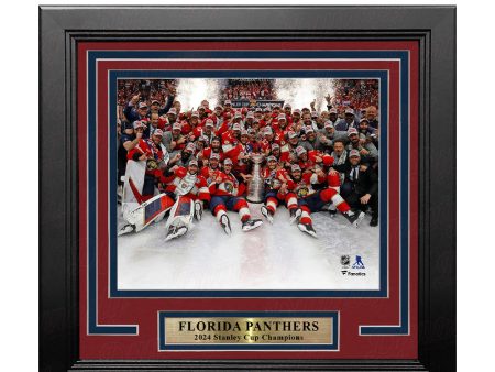 Florida Panthers 2024 Stanley Cup Champions Team Celebration 8  x 10  Framed Hockey Photo Discount