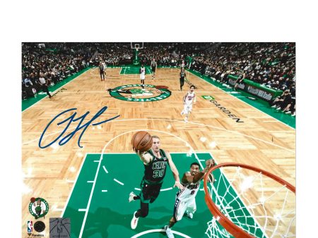 Sam Hauser Rim Cam Boston Celtics Autographed 11  x 14  Basketball Photo Sale